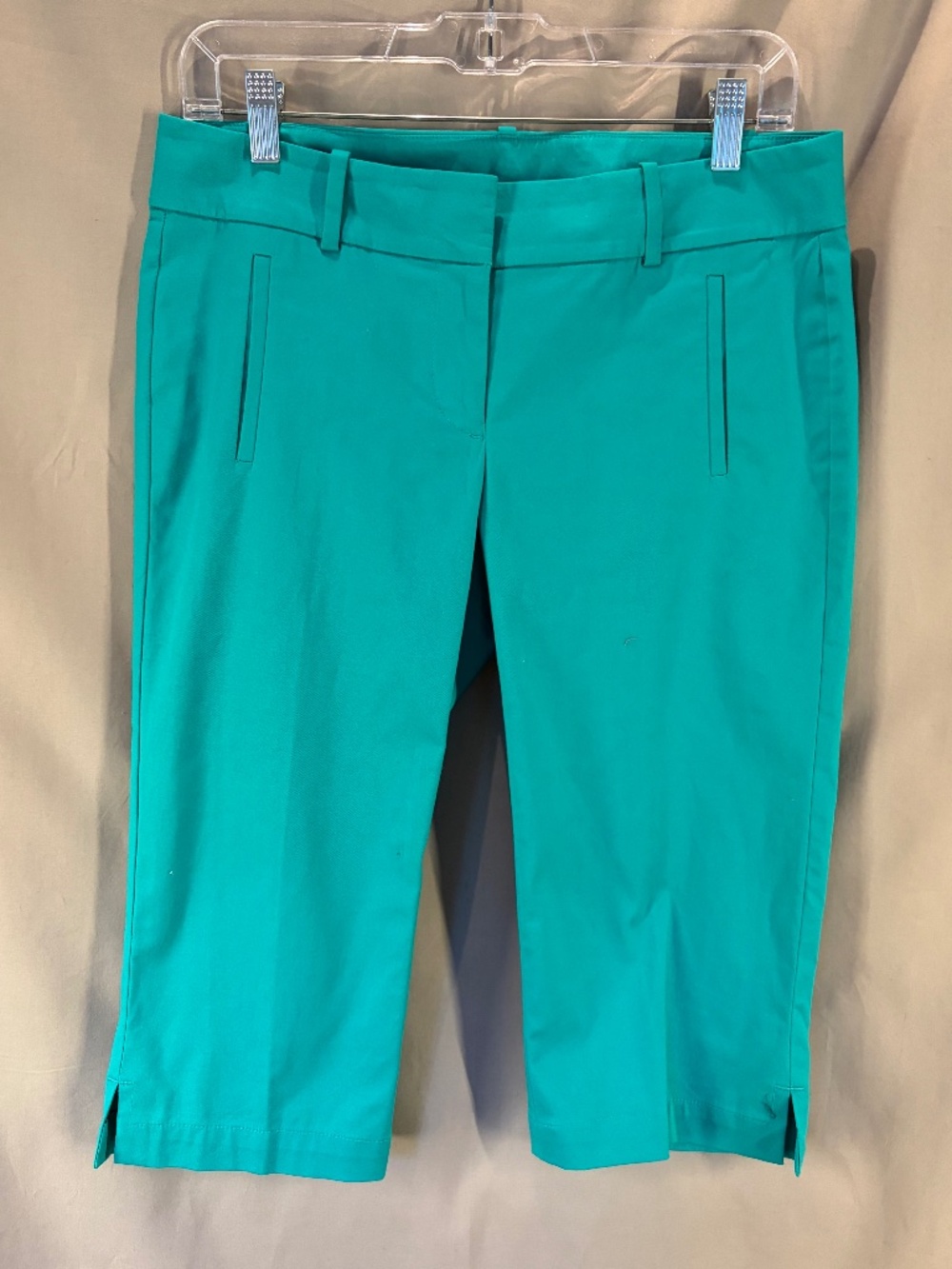Ann Taylor High-Cropped Pants, color Green - Size 4 (Nw/oT)